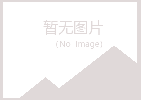 新乡白山会计有限公司